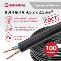 Электрический кабель ВВГ-Пнг(А)-LS 2х2,5 мм² (100 м) ГОСТ КамКабель